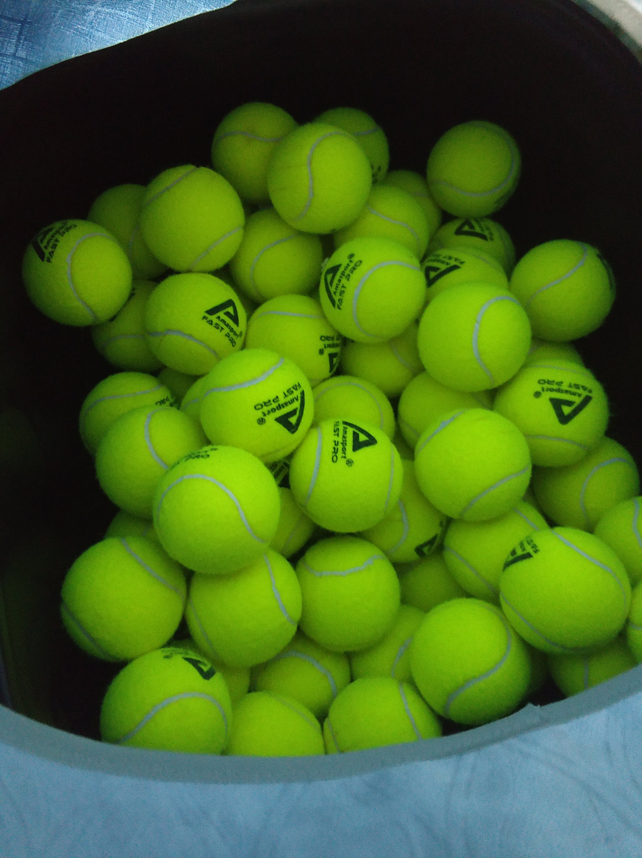 上赛季他的 上赛季他的