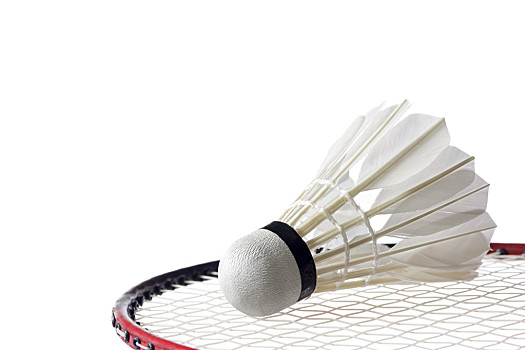 着要面对无 着要面对无