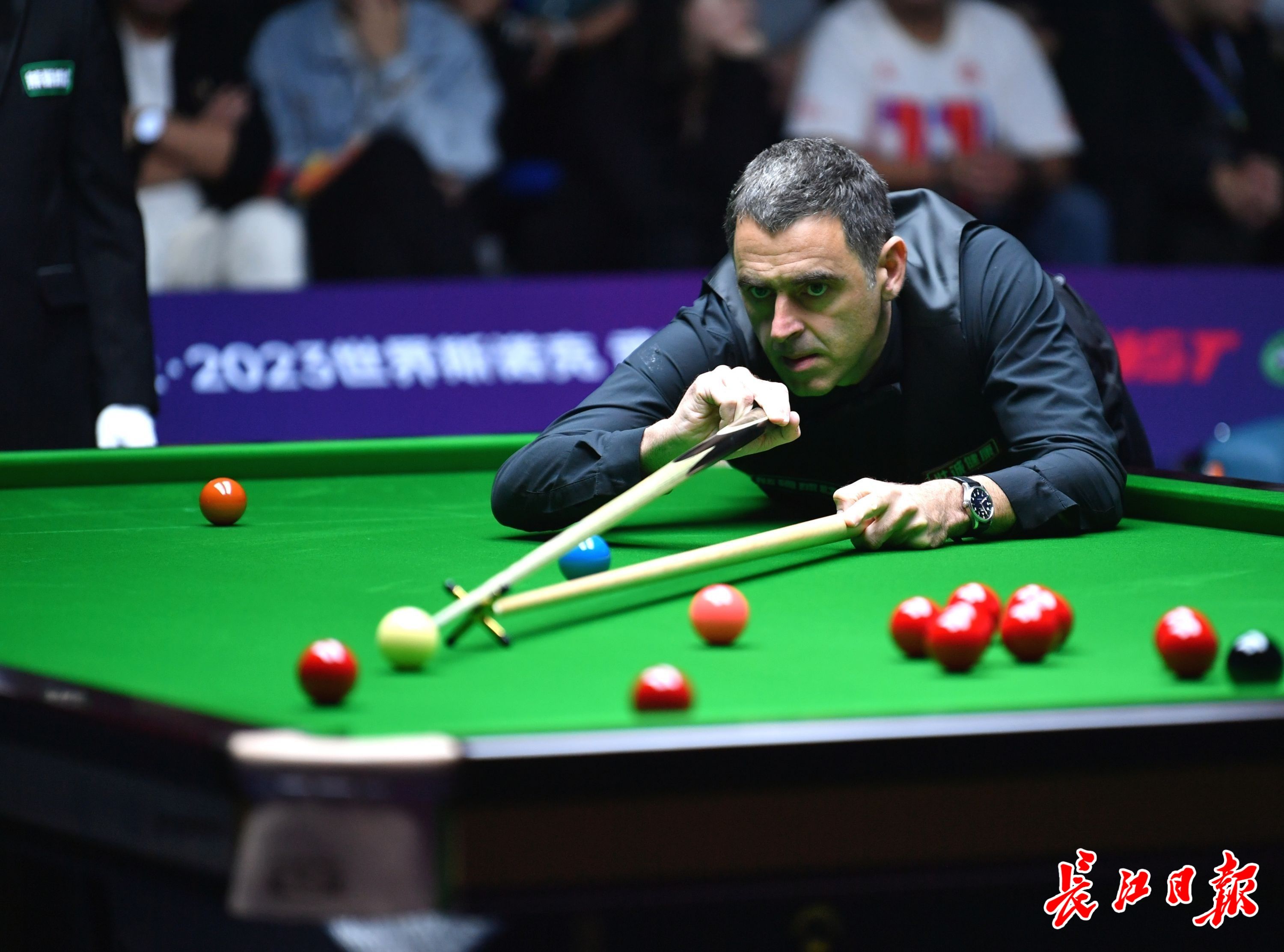 如果你需要 如果你需要